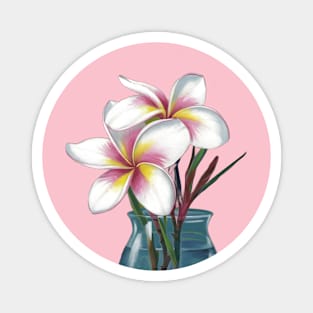 Small Bouquet of Plumeria Flowers with White Petals and Yellow and Pink Accents, Placed in a Blue Vase Against a Plain Magnet